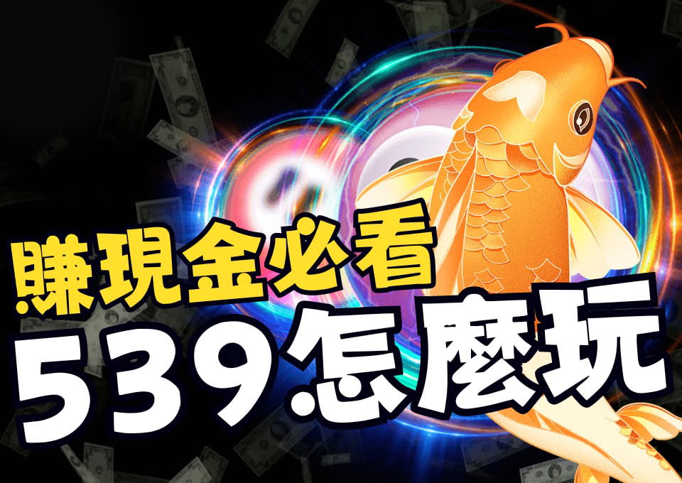 539怎麼玩、539選號、地下539盤口